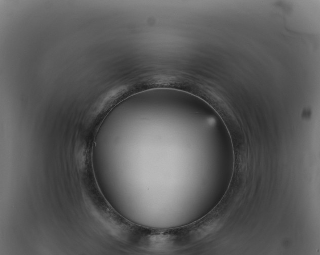 X0000089960216200707061147