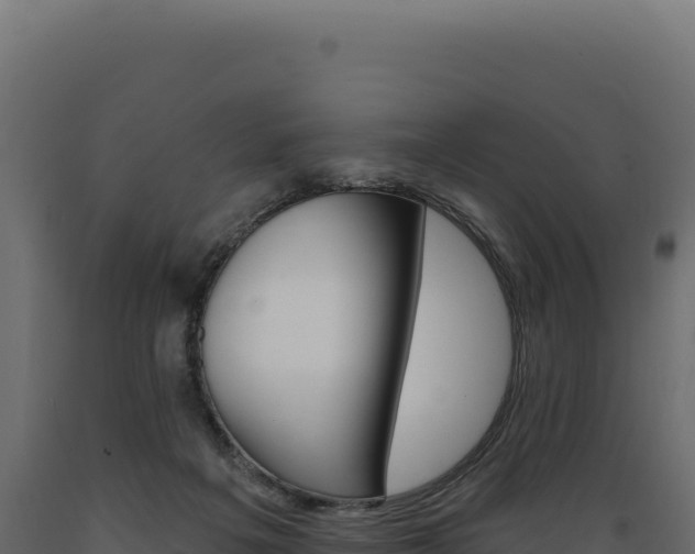 X0000089960217200707061146