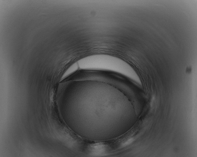 X0000089960219200707061146