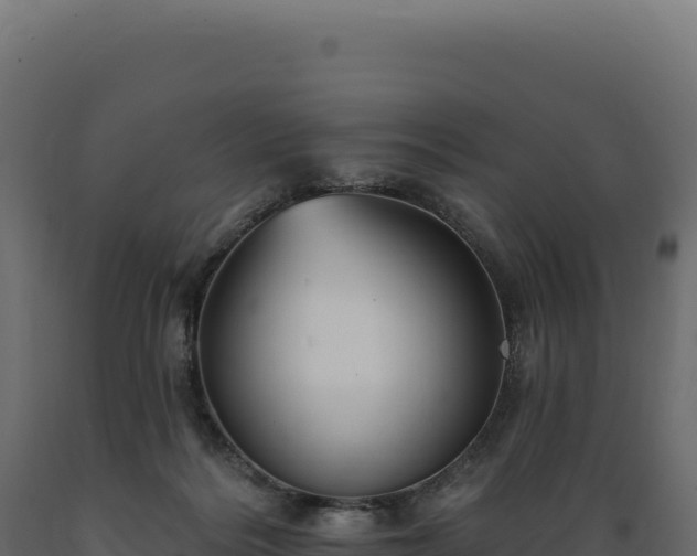 X0000089960220200707061146