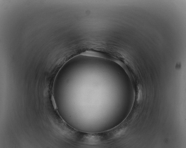 X0000089960221200707061146