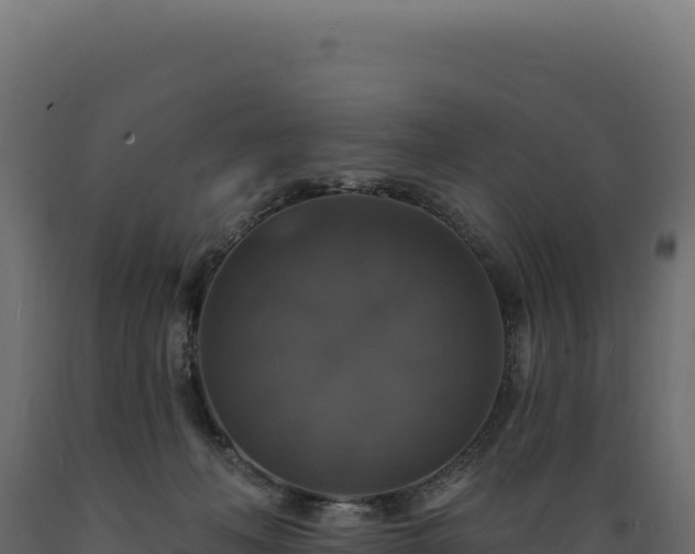 X0000089960222200707061146