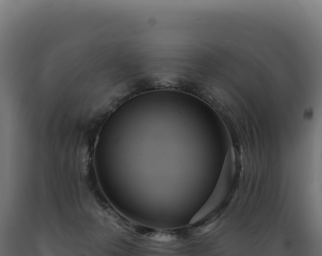 X0000089960223200707061146