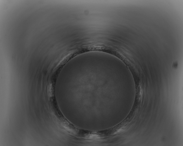 X0000089960224200707061146
