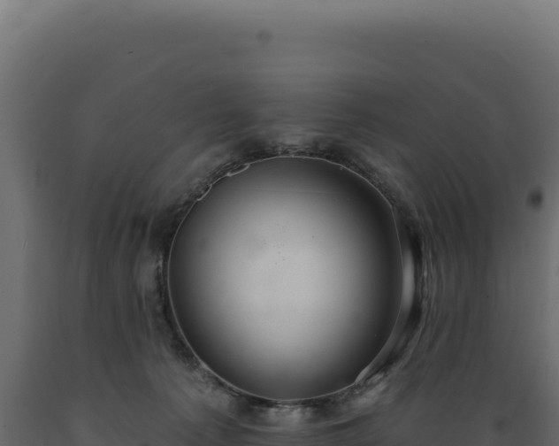 X0000089960225200707061146