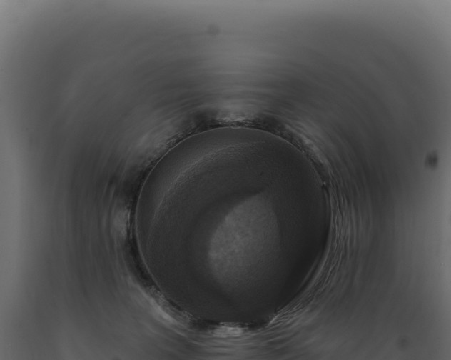 X0000089960227200707061146