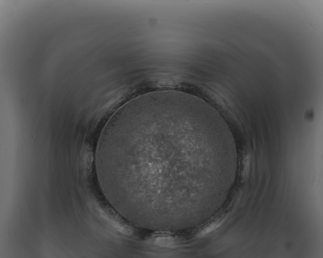 X0000089960228200707061146