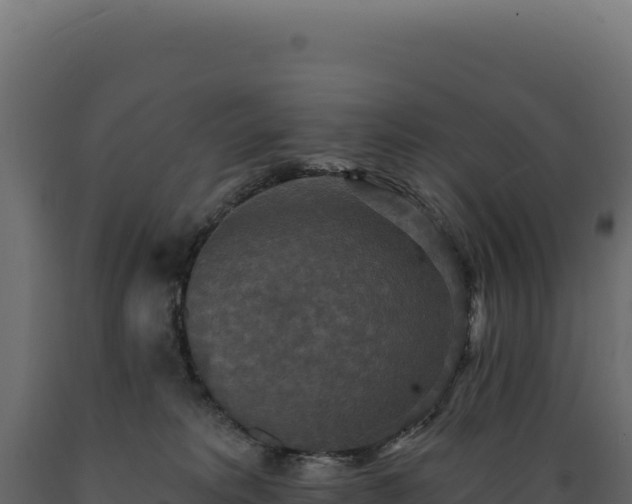 X0000089960229200707061146