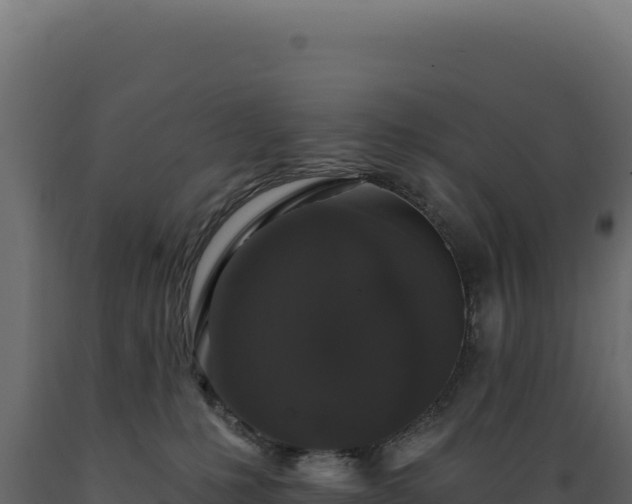 X0000089960231200707061146