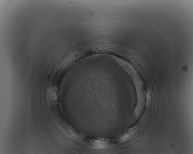 X0000089960232200707061146