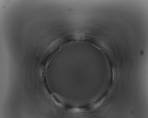 X0000089960233200707061146