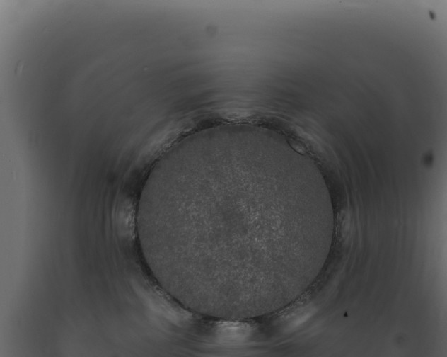 X0000089960234200707061146