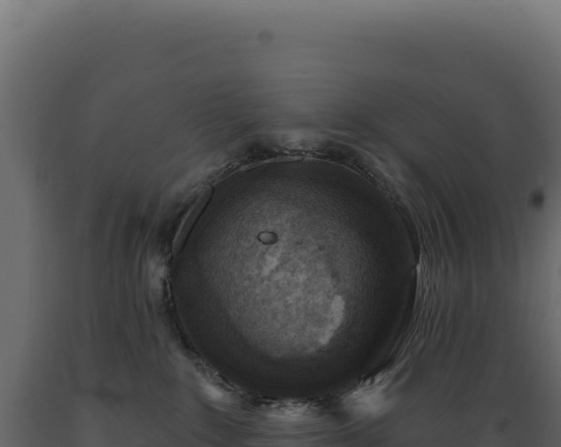 X0000089960235200707061146