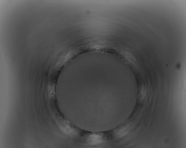 X0000089960236200707061146