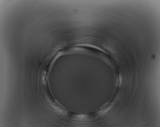 X0000089960237200707061146
