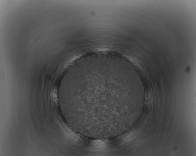 X0000089960238200707061146