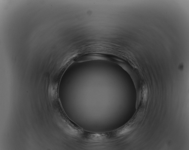 X0000089960239200707061146