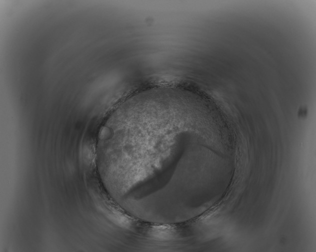 X0000089960240200707061146