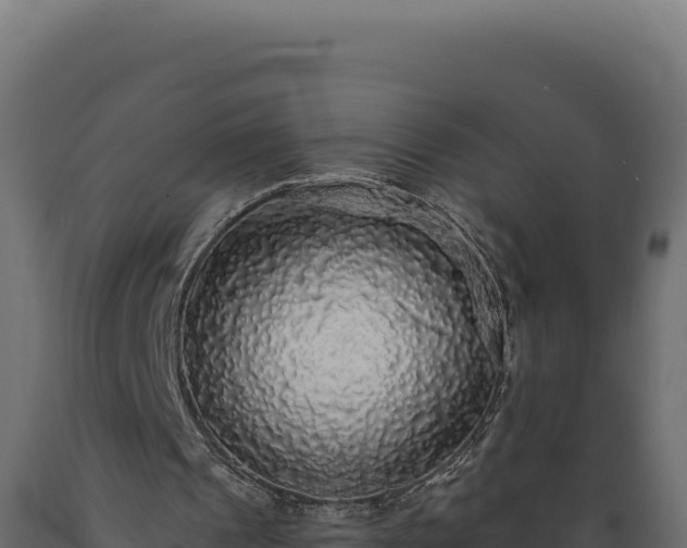 X0000089960241200707061146