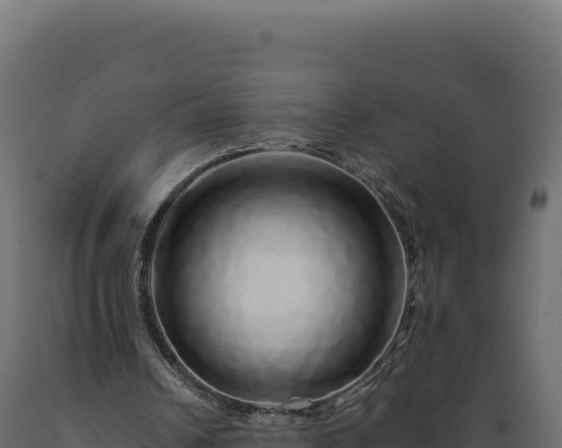 X0000089960242200707061146