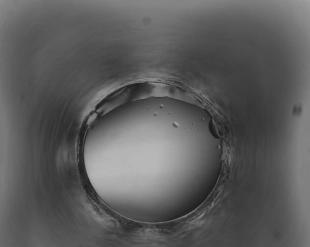 X0000089960244200707061146
