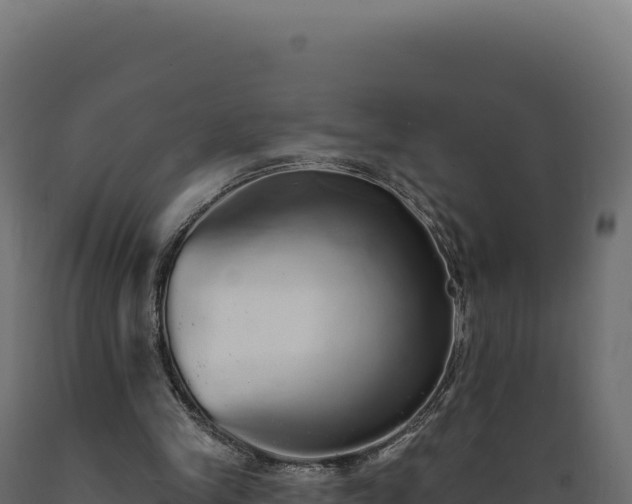 X0000089960245200707061146