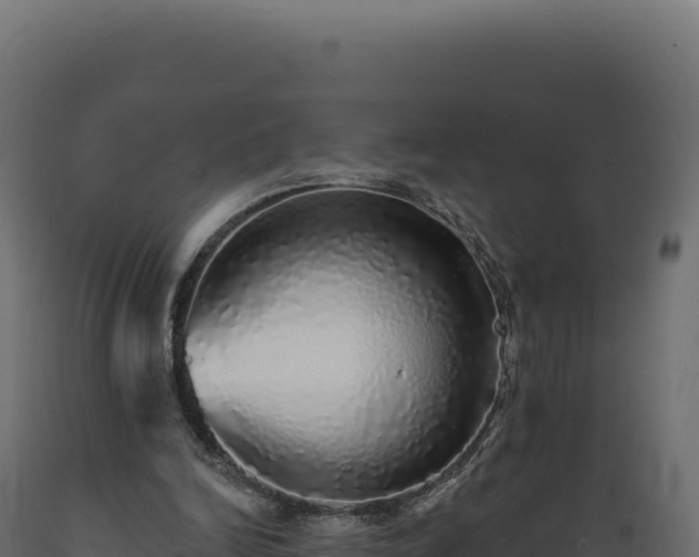 X0000089960246200707061146