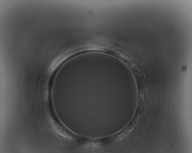 X0000089960247200707061146