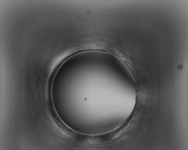 X0000089960248200707061146