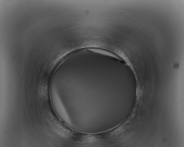 X0000089960249200707061146