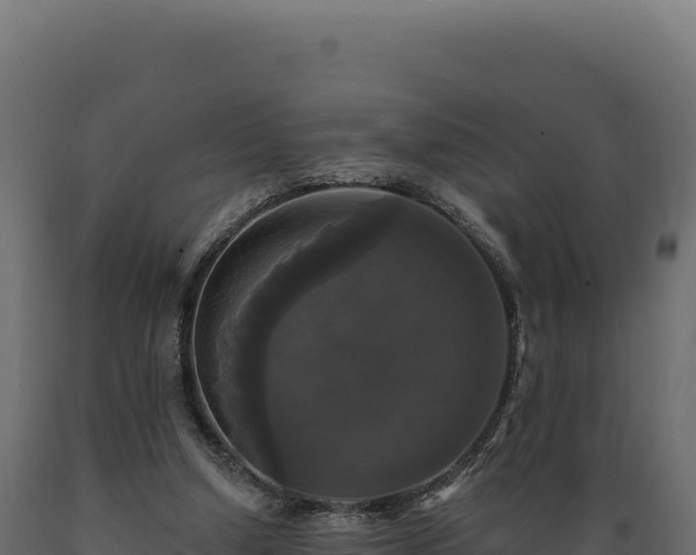 X0000089960250200707061146