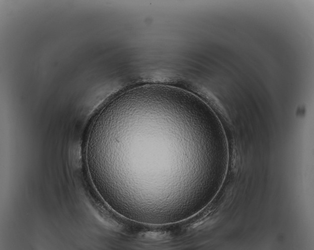 X0000089960251200707061146