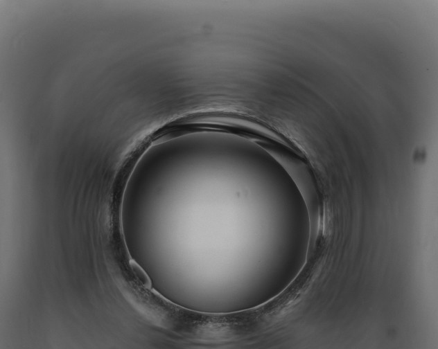 X0000089960252200707061146
