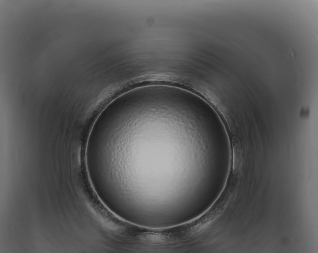 X0000089960253200707061146