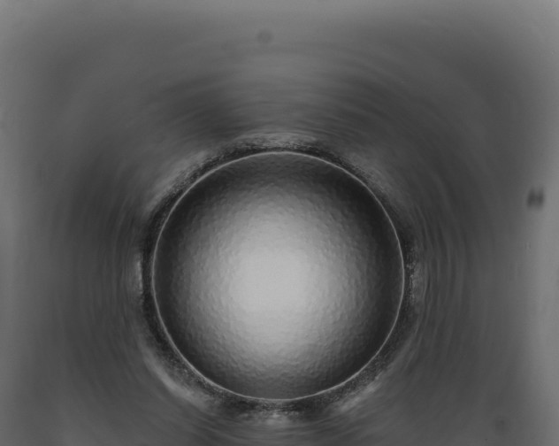 X0000089960254200707061146