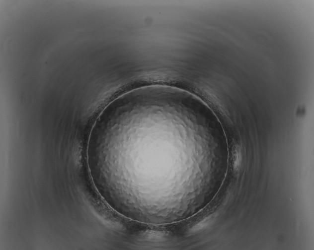 X0000089960255200707061146