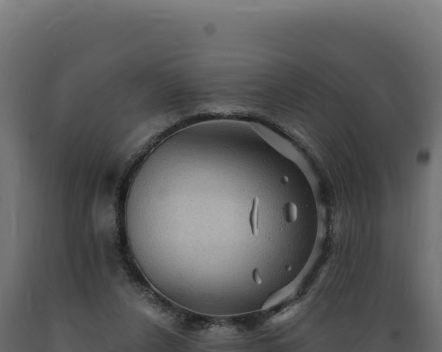 X0000089960256200707061146