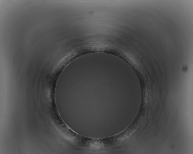 X0000089960258200707061146