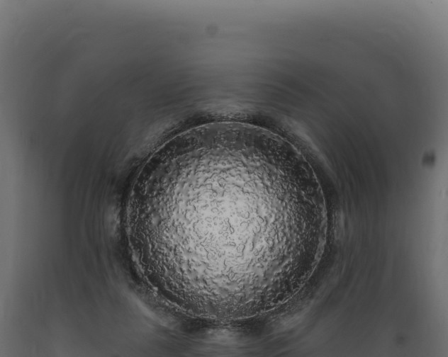 X0000089960259200707061146