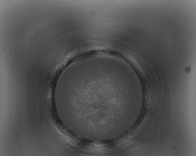 X0000089960260200707061146
