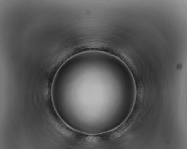 X0000089960261200707061146