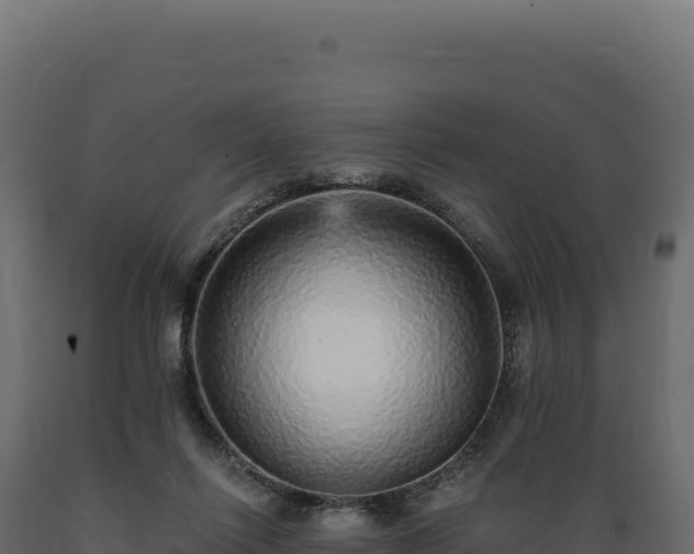 X0000089960262200707061146