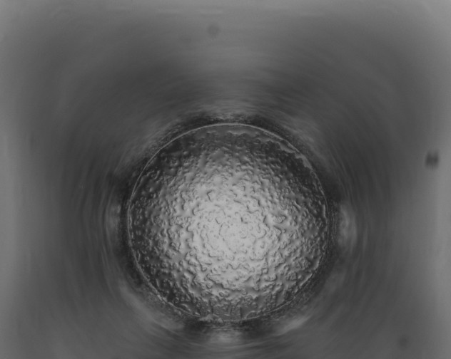 X0000089960263200707061146