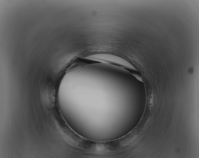 X0000089960264200707061146
