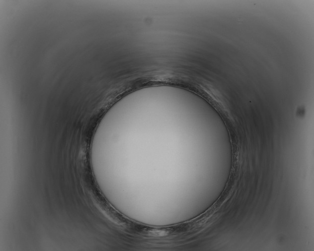X0000089960265200707061146