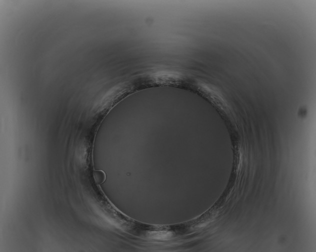 X0000089960266200707061146