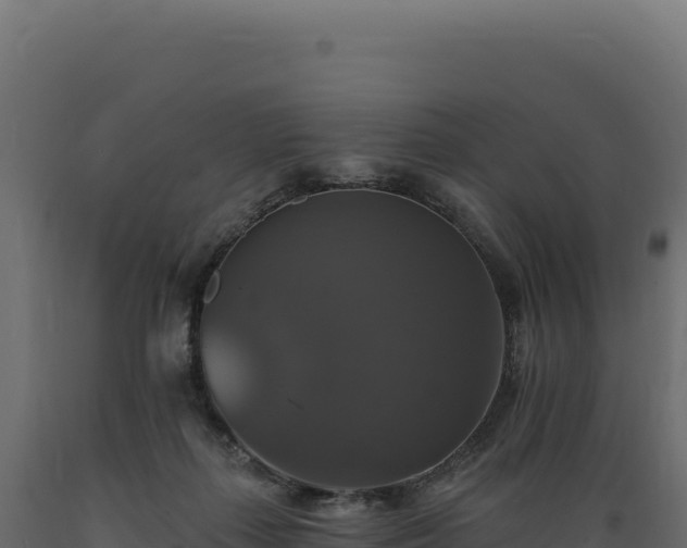 X0000089960267200707061146