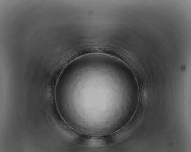 X0000089960270200707061146
