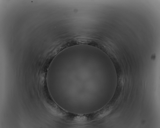 X0000089960271200707061146