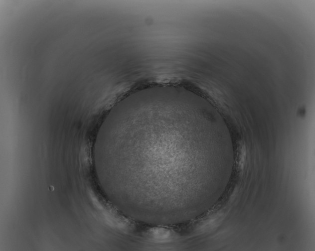 X0000089960272200707061146